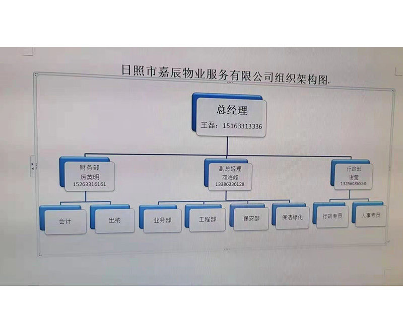 公司架構圖